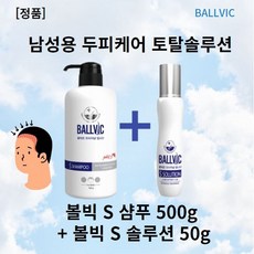 볼빅에스솔루션