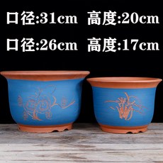 호른 퍼플샌드 난초화분 동근포트 군자란 라지스몰사이즈 전용 스킨답서스 녹색식물 다육 심플, C01-컬러/크기/수량 이상 파티 사진 표준, T21-대금 중란 컬러스페셜 대+라지 입구직경