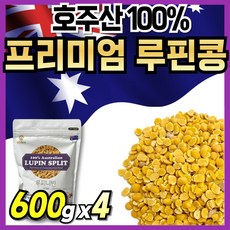 호주 루비니핀 루피니빈콩 루비니빈 루피리빈 루비니콩, 4개, 600g - 골드콩