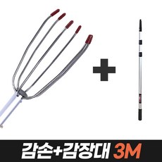 감나무장대