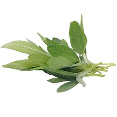 9962619756fce896d76d93f51971347910419162550a314befb8dcc3d0e9.jpg