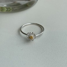 데이지반지