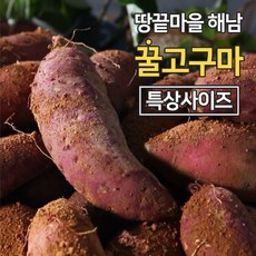 해남 황토 꿀고구마 특상 3kg 6kg, 1박스