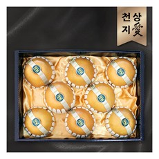 98일부터발송[천상지愛]나주배 과일 선물세트[之愛] 8과내[8kg], 날짜:2024-09-05