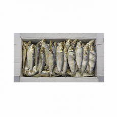 경북무역 건디포리 상급 1.5kg, 24개