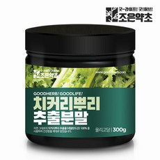 치커리분말