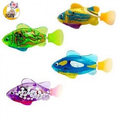 반려동물캣물고기수족관