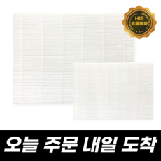 삼성에어드레서필터정품