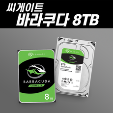 씨게이트바라쿠다8tb