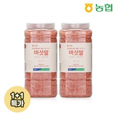 [1+1특가]농협 영지 상황 동충하초 국내산 버섯쌀2.2kg 대용량 (2개묶음), 1개