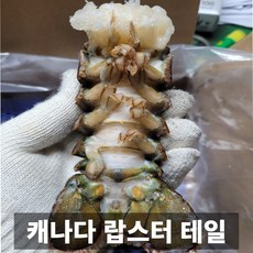 청담농수산 프리미엄 캐나다 랍스터 테일, 1개, (100~120g) 4oz 사이즈