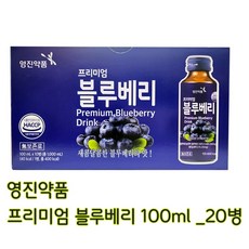 영진약품 프리미엄 블루베리 100ml