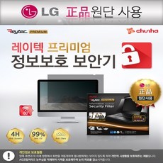 (레이텍) 프리미엄 SFP13.3W 보안기