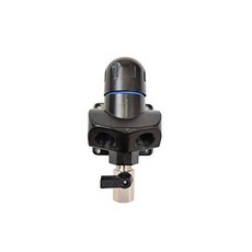 RAPIDAIR FASTPIPE F2024 입구 1 x 콘센트 1/ 2 NPT 나일론 황동 인서트 RA