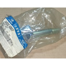현대모비스 현대자동차 그레이스 로아다이 캠버 볼트 54532-43002 모비스 순정 신품 5453243002 차량이 한쪽으로 쏠림, 1개