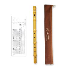 초등학생소금연주