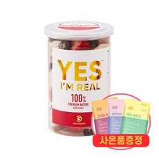 골드로니 예스아임리얼 강아지 동결건조 간식 + 증정 푸디웜간식, 1개, 60g, 필수하루과일모듬 5종