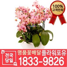 a353e45d5e22b5eb612be7348cb7eda4e98b0b9b959894d7e9aa091a9186.jpeg