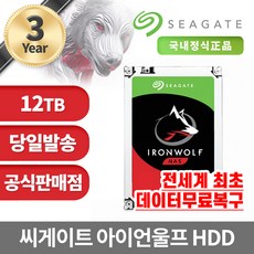 씨게이트 IronWolf HDD NAS용, 12TB, ST12000VN0008 - st12000vn0008