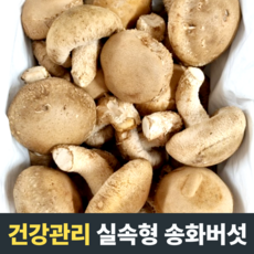 [건강관리] 실속형 송화버섯 표고버섯 참송화버섯 풍성한향 고급요리식자재 국산송화버섯 국내산송화버섯, 1개, 10kg