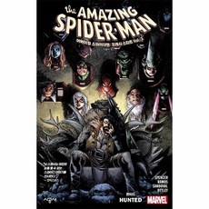 어메이징스파이더맨dvd