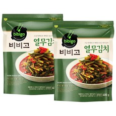 CJ 비비고 열무김치 친정엄마 집밥 400g, 2세트
