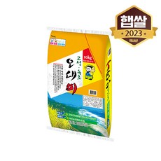 농협 [이쌀이다] 23년산 고성속초 오대미 10kg, 1