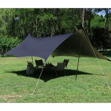 꼴로르폴대 TOP01