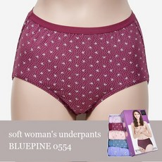 [헬로쇼핑] 블루핀)플라워 레이온 스판 실크 여성팬티 5매입