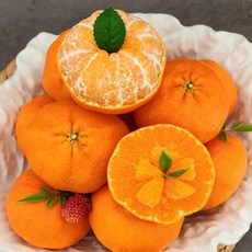 제주 직송 프리미엄 레드향 고당도 최상품 설 명절 선물세트 3kg 5kg, 정품선물세트 5kg(중과 23과 내외)