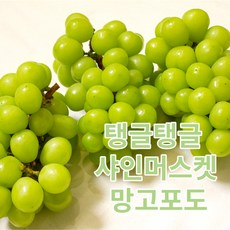 포도대장