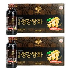 부채표 가을 생강쌍화 100ml/쌍화탕/동화약품/쌍화차, 2세트, 2세트