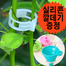 고추끈매는클립