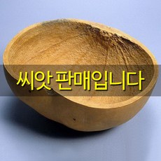 6a86704ba102f8b8cadb4e2832169fbb4555e196efd1eab04091276a54f3.jpg