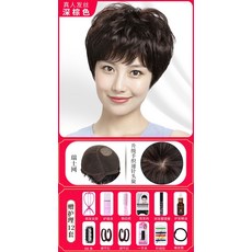 중년남자전체가발인모