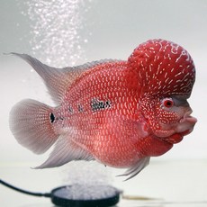 1f697b6d2acd2e3ad71a4ff7679d9d77caaf59a8759f601035f3cf15002c.jpg