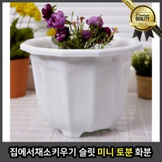 68ab1731e65539a6e4e3456974b384fae0b770e14787c9a536e741483956.jpg