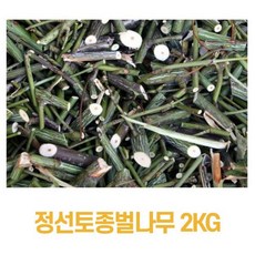 정선투어패스