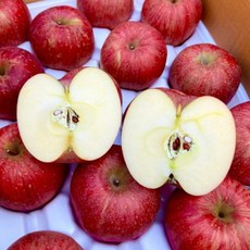 믿고먹는 방씨아들 꿀 경북 청송 사과 부사 홍로 양광 감홍 사과, 대과 5kg(17과수 내외)