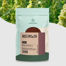 아이보리퀴노아