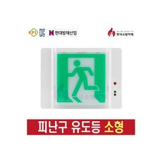 피난유도등 소형 벽부형 정방향 현대방재, 1개