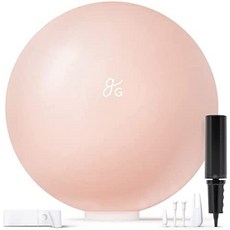 균형잡는의자 짐볼체어 밸런스볼체어 그레이터 굿즈 전문 운동볼 - 운동 균형 안정 임신을, 65cm, 블러셔 핑크