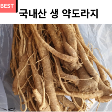 국산 약도라지 정과용 나물용 생도라지 3년근 6년근, 1개, 정과용도라지 대사이즈 500g