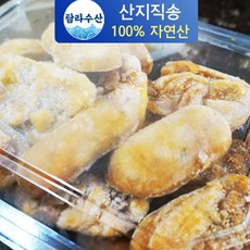 국산 급냉 조각형 냉동 성게알 500g, 1개