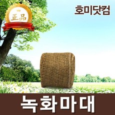 5c5b1eeb877c5f3a1dc2bc6a374b3c9d8a16f54ed5ffc6e4b38f5b3a8193.jpg