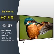 100인치tv에버루션