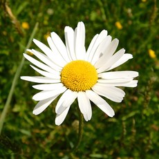713692baa2ebbf10a56628dddb7c38842c77677df124c8ad1418d652d7c8.jpg