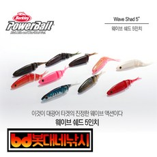 버클리만세기