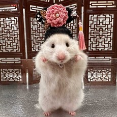 우시 슈가글라이더옷 햄스터 토끼 기니피그 소동물, 1개, 황실 첩 모자 성체 황금곰/성체 꽃쥐