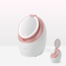 피부스티머